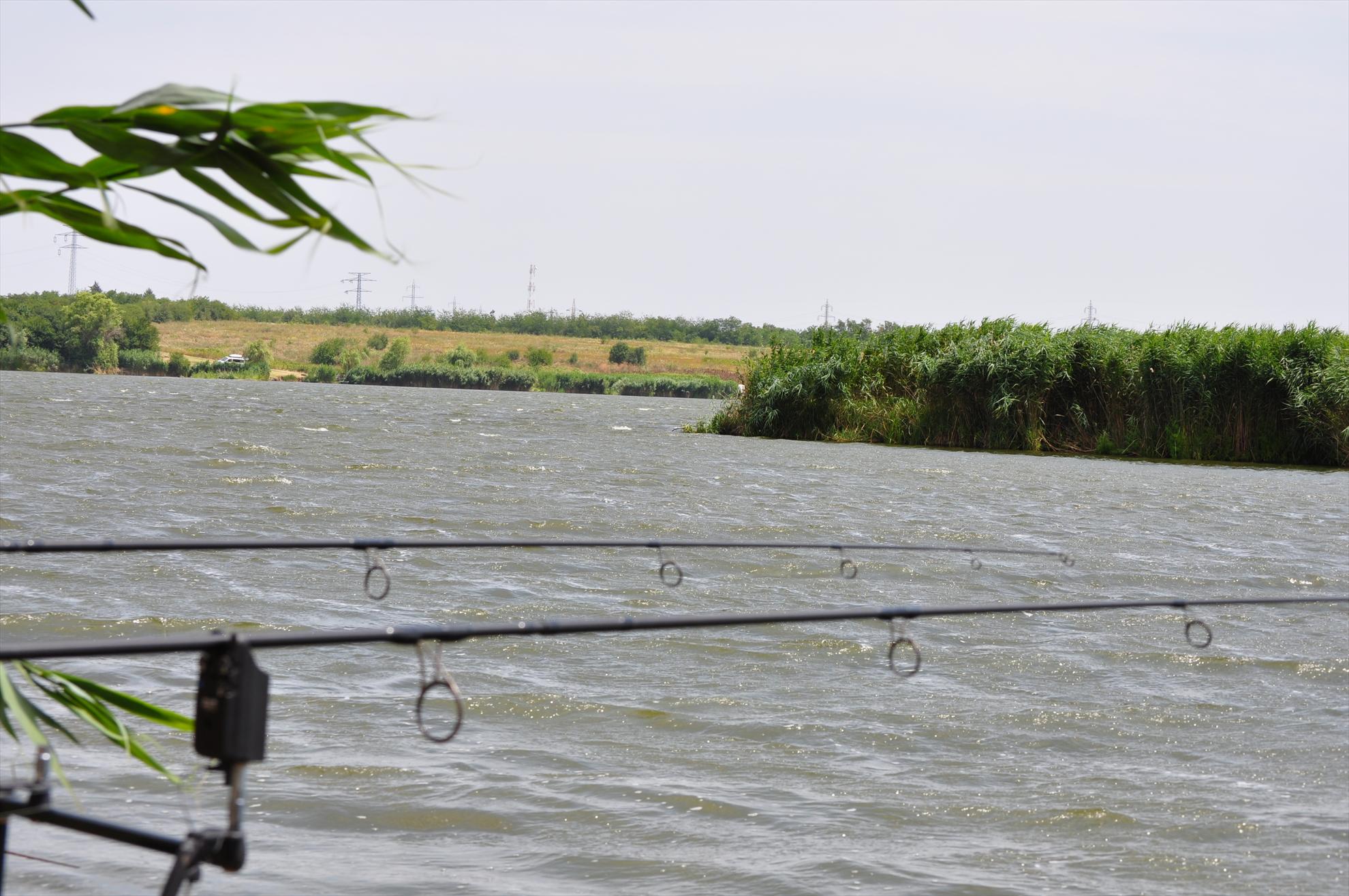 Tancabesti - dsc0087.JPG